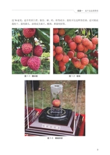 农产品供应链管理与物流管理（“广东技工”工程教材 农村电商系列）2022年6月第1期