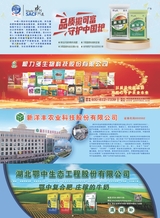 品牌与标准化2025年5月第3期