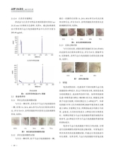 品牌与标准化2025年5月第3期
