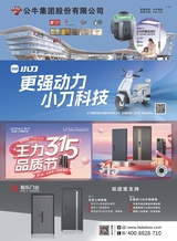 品牌与标准化2025年3月第2期