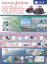 品牌与标准化2025年3月第2期