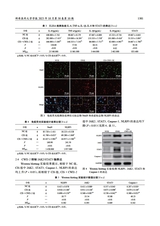 蚌埠医科大学学报2025年10月第10期