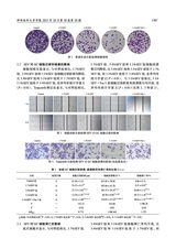 蚌埠医科大学学报2025年10月第10期