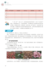 农产品视觉营销（“广东技工”工程教材 农村电商系列）2022年6月第1期