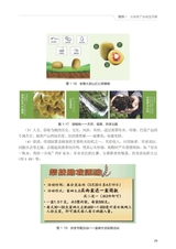 农产品视觉营销（“广东技工”工程教材 农村电商系列）2022年6月第1期