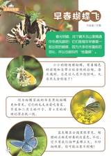 幼儿100·阅读版2025年3月第3期