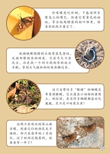 幼儿100·阅读版2025年3月第3期