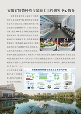 滁州学院学报2025年10月第5期