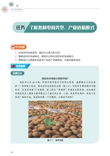 农村电商基础（“广东技工”工程教材 农村电商系列）2022年6月第1期