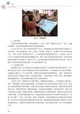 农村电商基础（“广东技工”工程教材 农村电商系列）2022年6月第1期