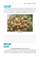 农村电商基础（“广东技工”工程教材 农村电商系列）2022年6月第1期