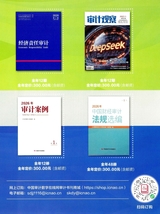 中国审计2025年10月第19期