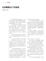 中国审计2025年10月第19期