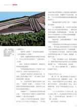 中国审计2025年10月第19期