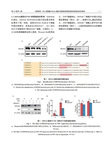 中国动物传染病学报2025年8月第4期