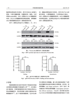 中国动物传染病学报2025年8月第4期