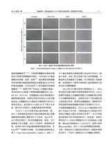 中国动物传染病学报2025年8月第4期