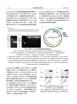 中国动物传染病学报2025年8月第4期