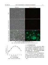 中国动物传染病学报2025年8月第4期