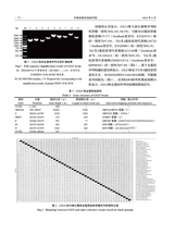 中国动物传染病学报2025年8月第4期
