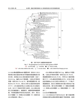 中国动物传染病学报2025年8月第4期