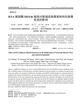 中国动物传染病学报2025年8月第4期