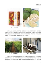 农村电商品牌包装与推广（“广东技工”工程教材 农村电商系列）2022年6月第1期