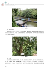 农村电商品牌包装与推广（“广东技工”工程教材 农村电商系列）2022年6月第1期