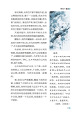 作文与考试·高中版2025年7月19-21期合刊