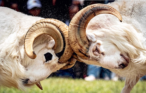 中国东盟报道（英文版）