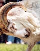 中国东盟报道（英文版）2025年10月第10期