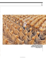 中国东盟报道（英文版）2025年6-7月合刊