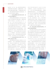 中华商标2025年8月第8期