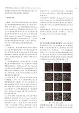 中国现代医药杂志2020年1月第1期