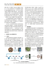 家具2025年7月第4期