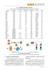 家具2025年7月第4期