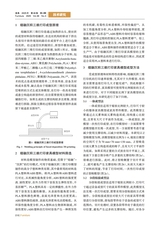 家具2025年7月第4期