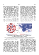 暴雨灾害2024年6月第3期