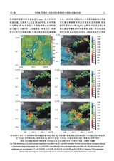 暴雨灾害2025年2月第1期
