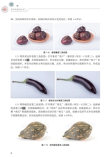 农村电商网店美工（“广东技工”工程教材 农村电商系列）2022年3月第1期