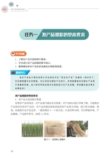 农村电商网店美工（“广东技工”工程教材 农村电商系列）2022年3月第1期