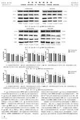 中华中医药学刊2025年11月第11期