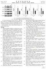 中华中医药学刊2025年11月第11期