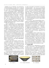 湖南包装2025年4月第2期