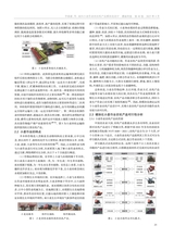 湖南包装2025年4月第2期