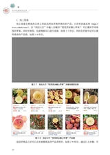 农村电商网店运营（“广东技工”工程教材 农村电商系列）2022年2月第1期