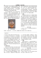 江苏陶瓷2025年8月第4期