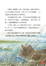 小星星阅读100分低年级版2025年6月第6期