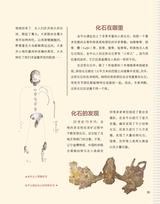 奇妙博物馆2025年10月第10期