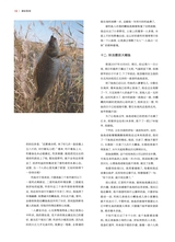 垂钓2023年8月第8期